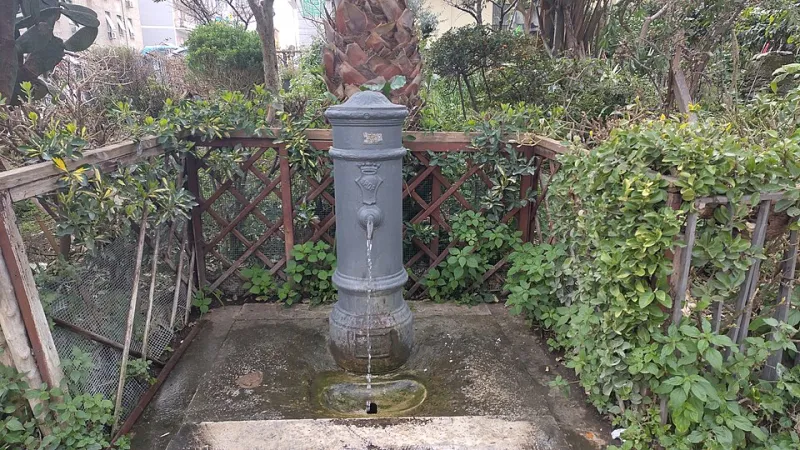 Turn On the Tap, Skip the Tab: Why Rome's Street Fountains Beat Any Bottled Water in Europe